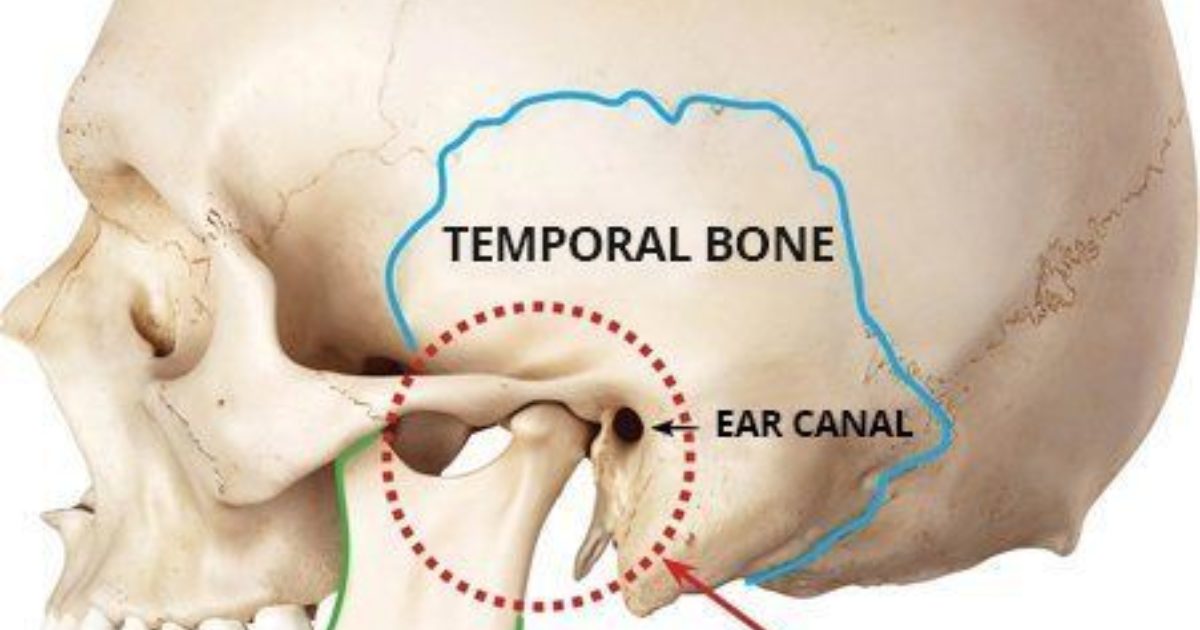 TMJ Disorders | Waverley Park Dental Care